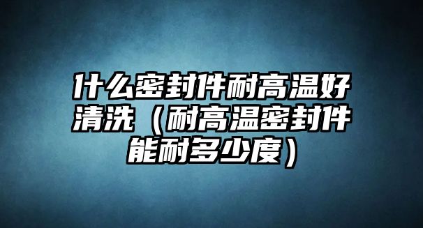 什么密封件耐高溫好清洗（耐高溫密封件能耐多少度）