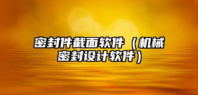 密封件截面軟件（機(jī)械密封設(shè)計軟件）