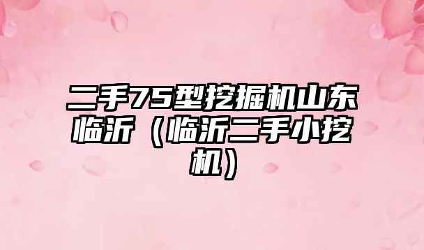二手75型挖掘機山東臨沂（臨沂二手小挖機）