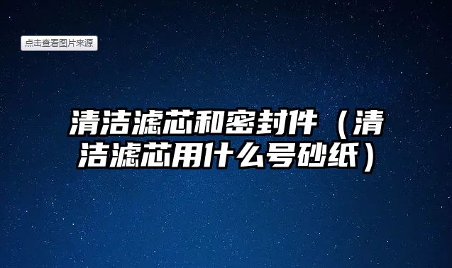 清潔濾芯和密封件（清潔濾芯用什么號砂紙）