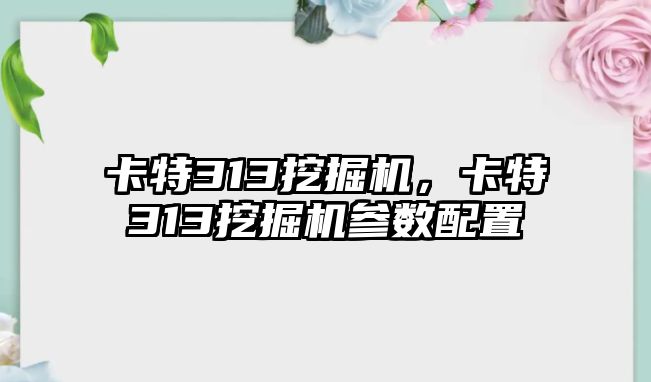 卡特313挖掘機，卡特313挖掘機參數(shù)配置