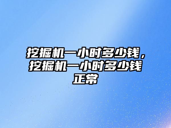 挖掘機一小時多少錢，挖掘機一小時多少錢正常