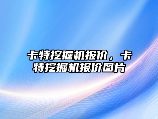 卡特挖掘機報價，卡特挖掘機報價圖片