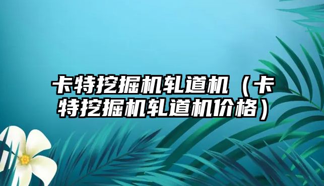 卡特挖掘機軋道機（卡特挖掘機軋道機價格）