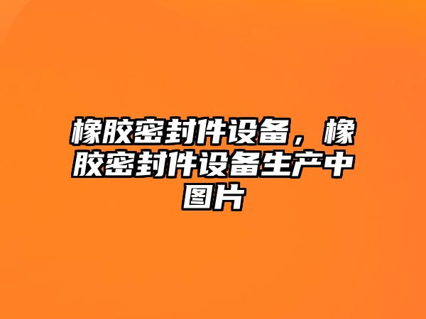 橡膠密封件設備，橡膠密封件設備生產(chǎn)中圖片