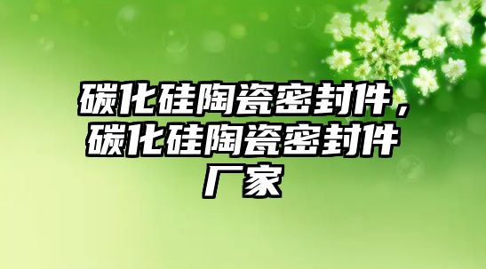 碳化硅陶瓷密封件，碳化硅陶瓷密封件廠家