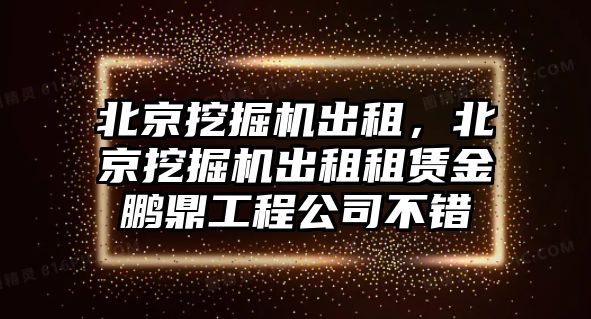 北京挖掘機出租，北京挖掘機出租租賃金鵬鼎工程公司不錯