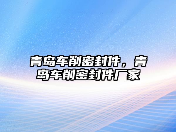 青島車削密封件，青島車削密封件廠家