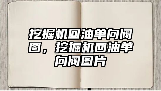 挖掘機回油單向閥圖，挖掘機回油單向閥圖片