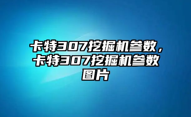 卡特307挖掘機(jī)參數(shù)，卡特307挖掘機(jī)參數(shù)圖片