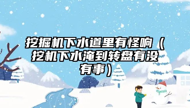 挖掘機(jī)下水道里有怪響（挖機(jī)下水淹到轉(zhuǎn)盤有沒有事）