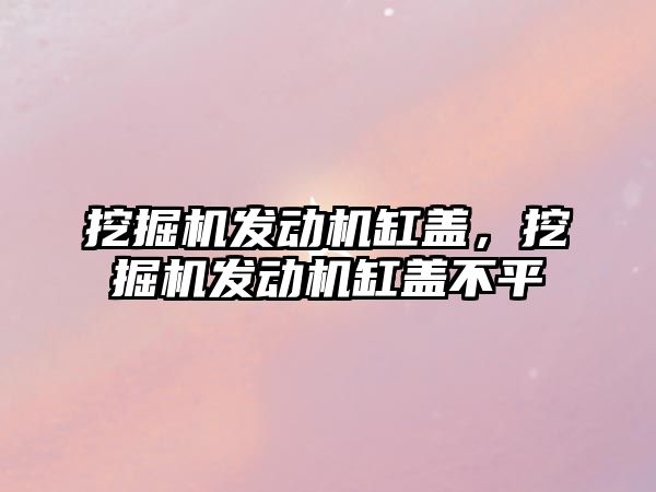 挖掘機發(fā)動機缸蓋，挖掘機發(fā)動機缸蓋不平