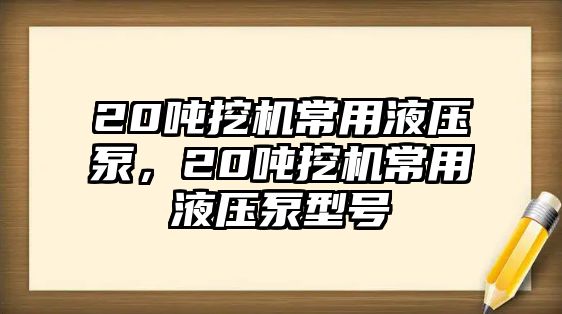 20噸挖機(jī)常用液壓泵，20噸挖機(jī)常用液壓泵型號