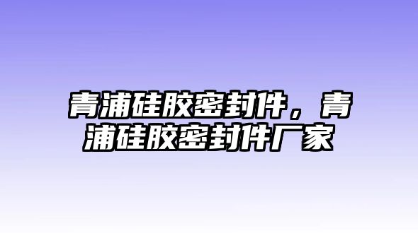 青浦硅膠密封件，青浦硅膠密封件廠家