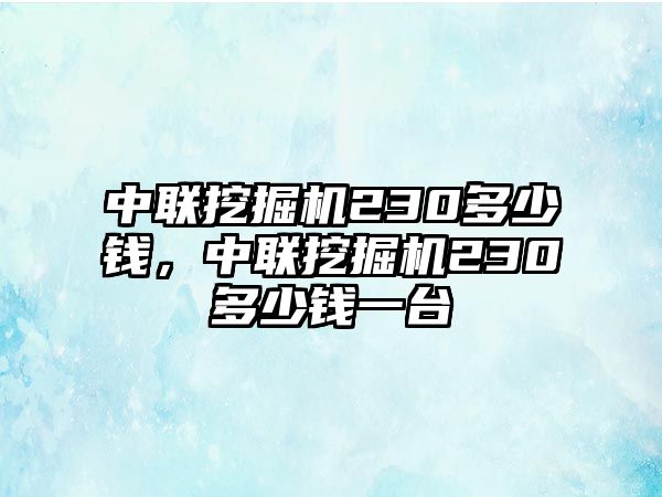 中聯(lián)挖掘機230多少錢，中聯(lián)挖掘機230多少錢一臺