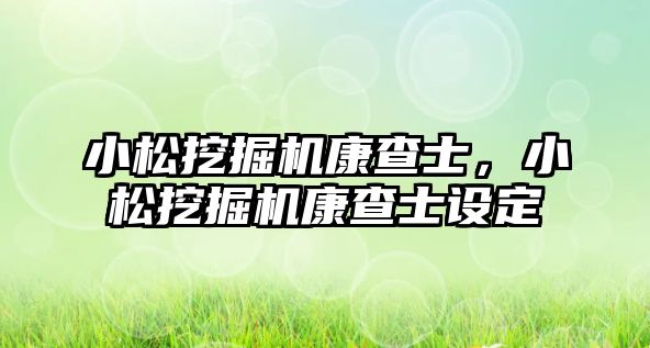 小松挖掘機康查士，小松挖掘機康查士設(shè)定