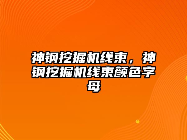 神鋼挖掘機線束，神鋼挖掘機線束顏色字母