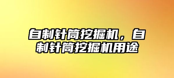 自制針筒挖掘機(jī)，自制針筒挖掘機(jī)用途