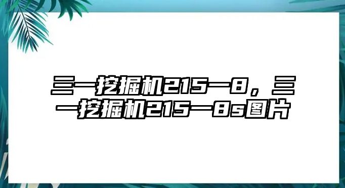 三一挖掘機(jī)215一8，三一挖掘機(jī)215一8s圖片