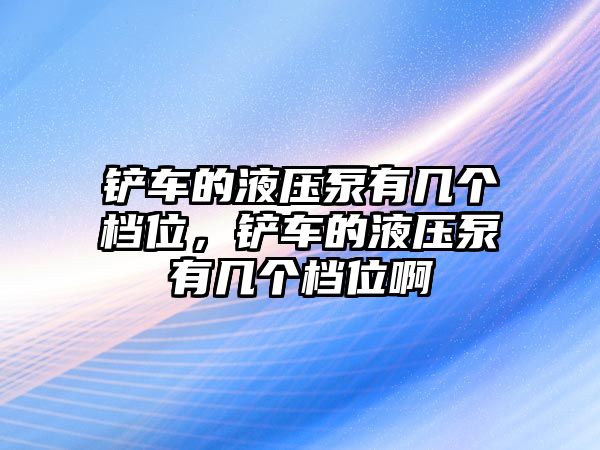 鏟車的液壓泵有幾個檔位，鏟車的液壓泵有幾個檔位啊