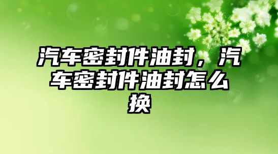 汽車密封件油封，汽車密封件油封怎么換