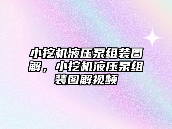 小挖機液壓泵組裝圖解，小挖機液壓泵組裝圖解視頻