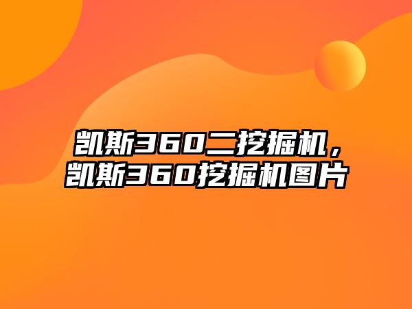 凱斯360二挖掘機(jī)，凱斯360挖掘機(jī)圖片