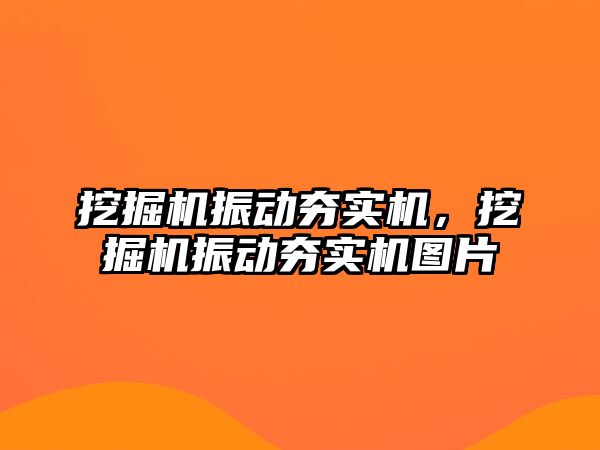 挖掘機(jī)振動夯實(shí)機(jī)，挖掘機(jī)振動夯實(shí)機(jī)圖片