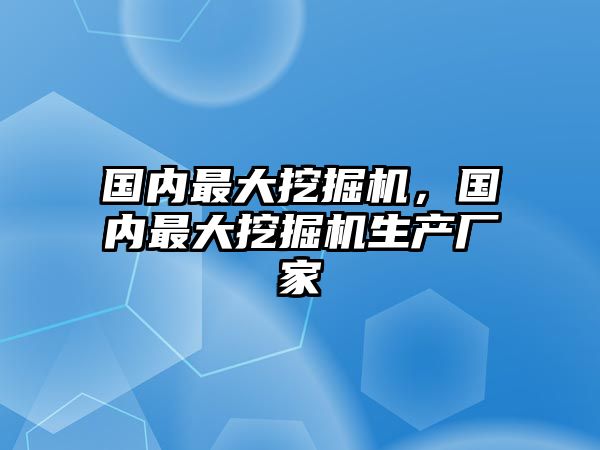 國內(nèi)最大挖掘機，國內(nèi)最大挖掘機生產(chǎn)廠家