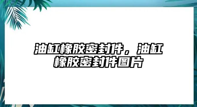 油缸橡膠密封件，油缸橡膠密封件圖片