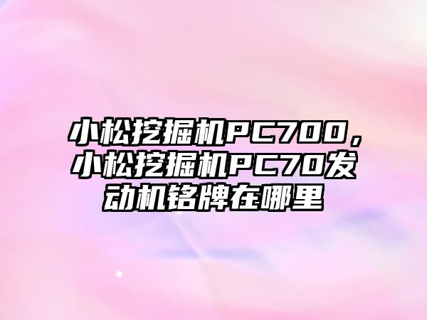 小松挖掘機PC700，小松挖掘機PC70發(fā)動機銘牌在哪里