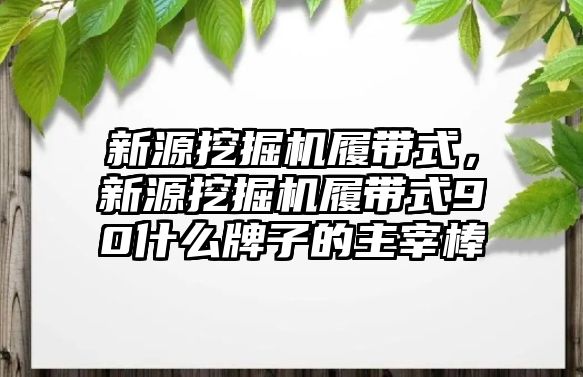 新源挖掘機(jī)履帶式，新源挖掘機(jī)履帶式90什么牌子的主宰棒