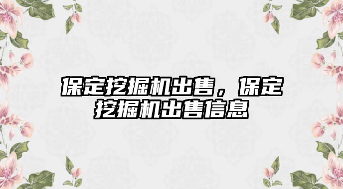 保定挖掘機(jī)出售，保定挖掘機(jī)出售信息