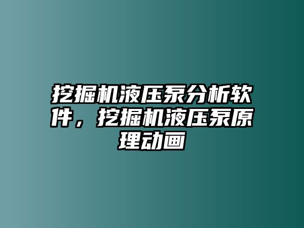 挖掘機液壓泵分析軟件，挖掘機液壓泵原理動畫