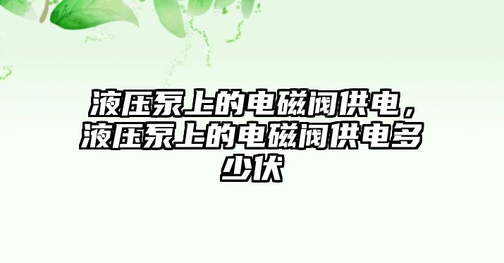 液壓泵上的電磁閥供電，液壓泵上的電磁閥供電多少伏