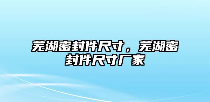 蕪湖密封件尺寸，蕪湖密封件尺寸廠家