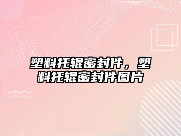 塑料托輥密封件，塑料托輥密封件圖片