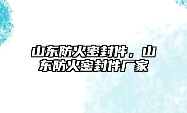 山東防火密封件，山東防火密封件廠家