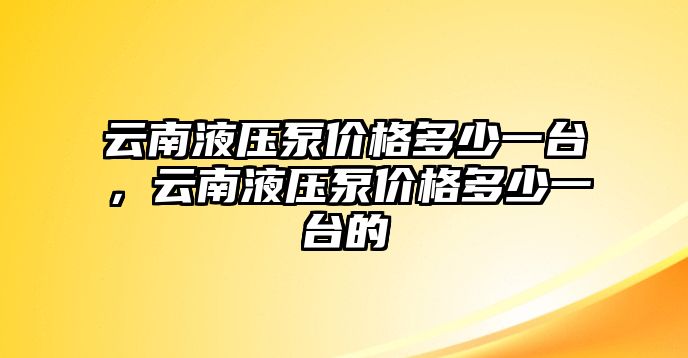 云南液壓泵價(jià)格多少一臺(tái)，云南液壓泵價(jià)格多少一臺(tái)的