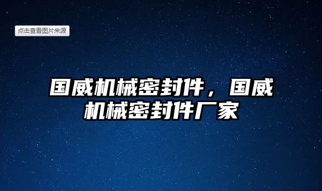 國威機械密封件，國威機械密封件廠家