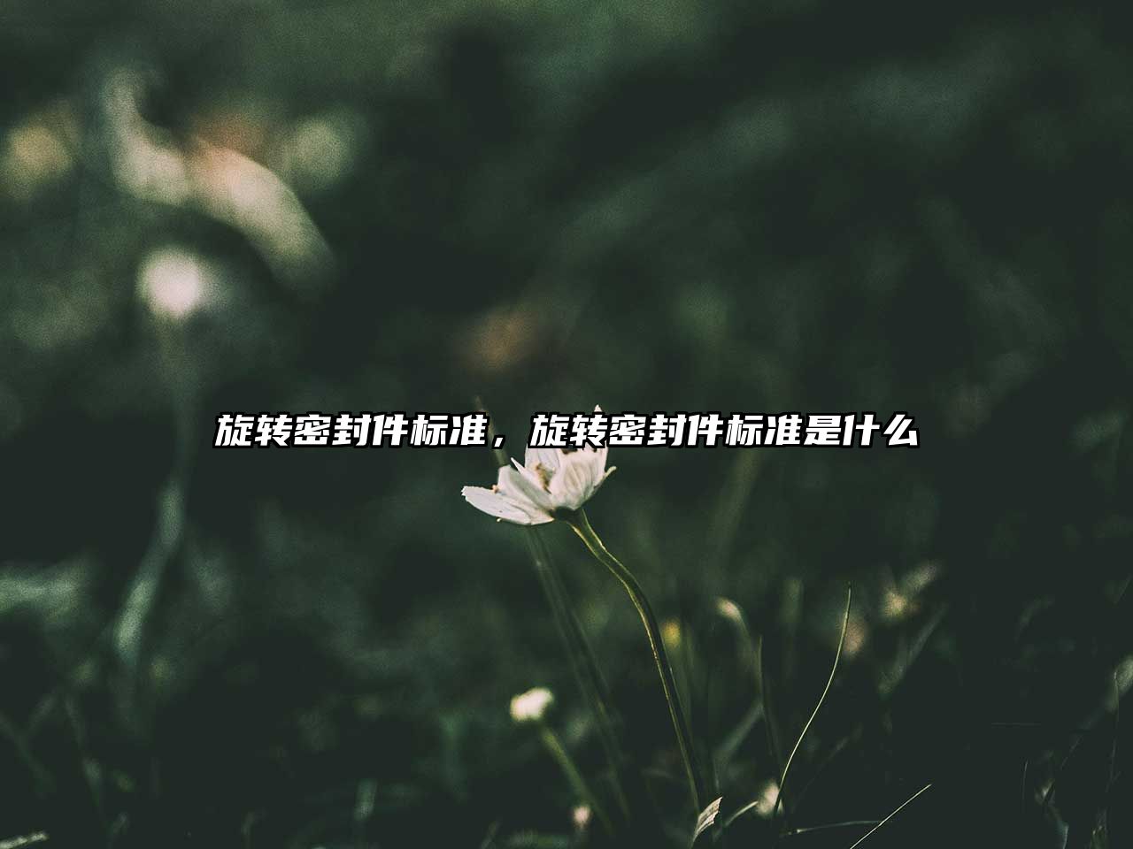 旋轉(zhuǎn)密封件標準，旋轉(zhuǎn)密封件標準是什么