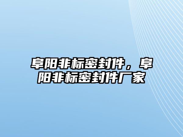 阜陽非標(biāo)密封件，阜陽非標(biāo)密封件廠家