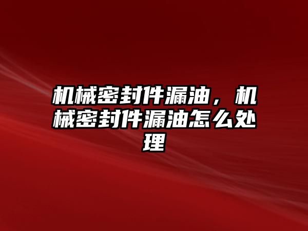 機械密封件漏油，機械密封件漏油怎么處理