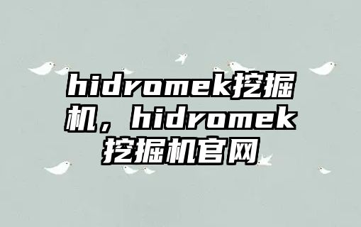 hidromek挖掘機(jī)，hidromek挖掘機(jī)官網(wǎng)