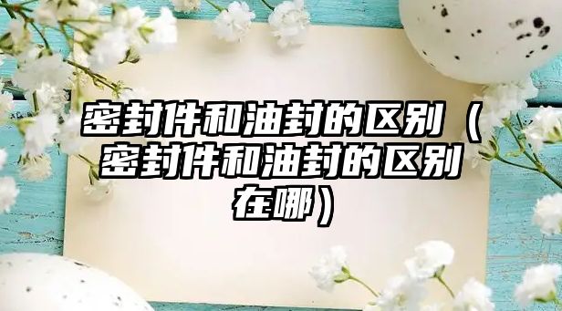 密封件和油封的區(qū)別（密封件和油封的區(qū)別在哪）